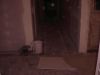 Filename=29.jpg
Filesize=65KB
Dimensions=1012x768
Date added=Oct 23, 2009 29.jpg
